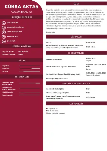 Çocuk Bakıcısı CV Örnekleri cv indir